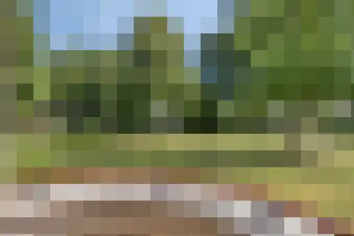 Parkflat de Statenhoed 15 Twello thumbnail 4