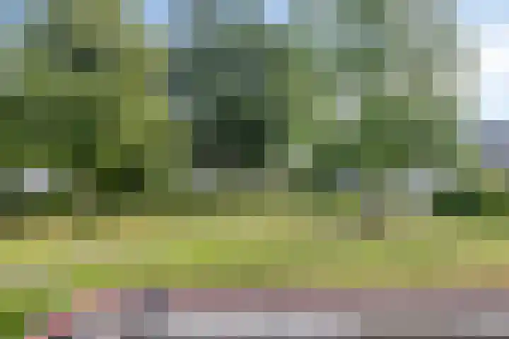 Parkflat de Statenhoed 15 Twello thumbnail 5