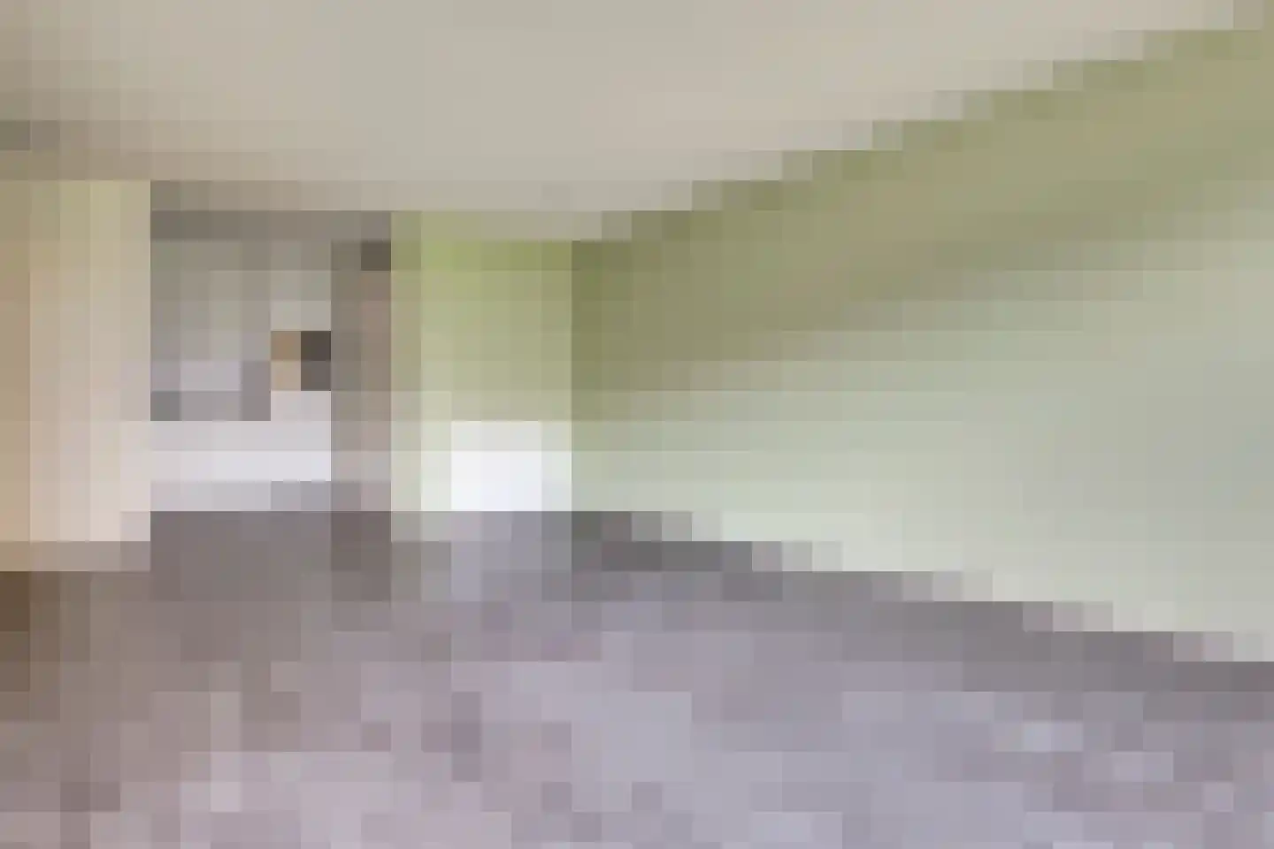 Parkflat de Statenhoed 16 Twello thumbnail 11