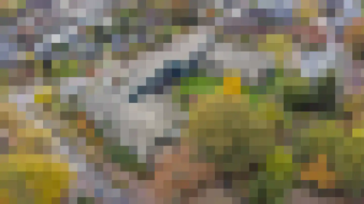 Parkflat de Statenhoed 16 Twello thumbnail 27