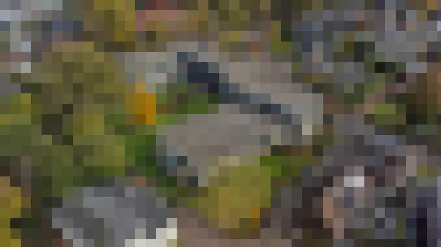 Parkflat de Statenhoed 16 Twello thumbnail 33