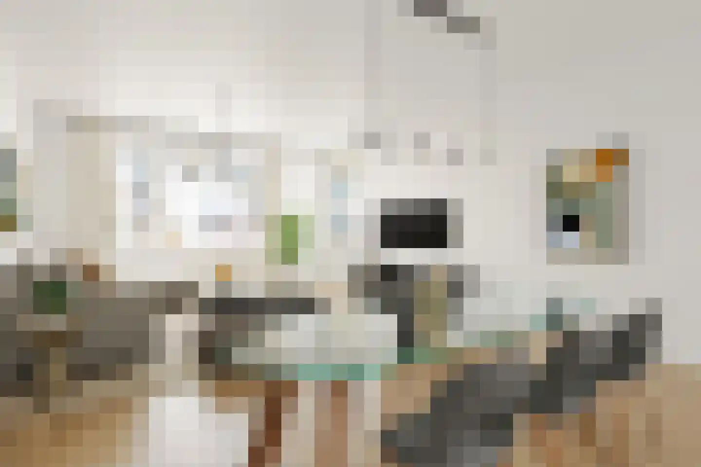 Parkflat de Statenhoed 16 Twello thumbnail 4