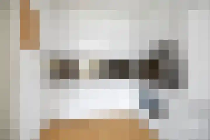 Parkflat de Statenhoed 23 Twello thumbnail 12