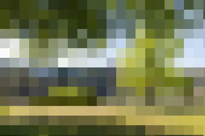 Parkflat de Statenhoed 23 Twello thumbnail 23