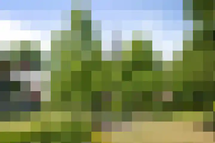 Parkflat de Statenhoed 23 Twello thumbnail 24