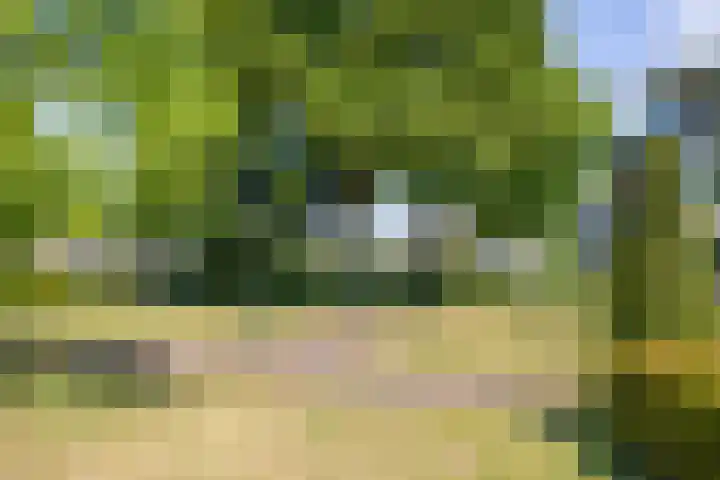 Parkflat de Statenhoed 23 Twello thumbnail 25