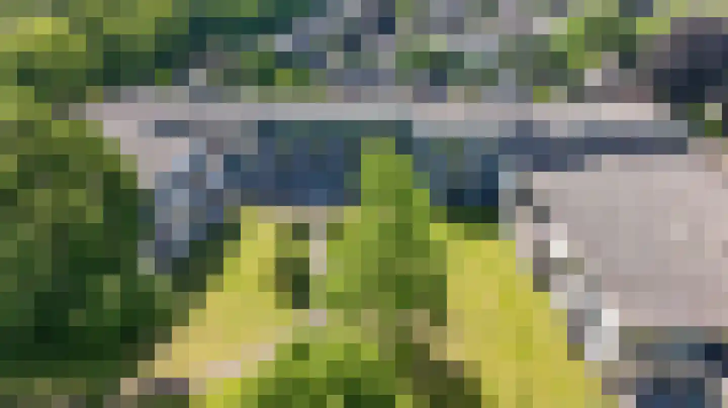 Parkflat de Statenhoed 24 Twello thumbnail 24