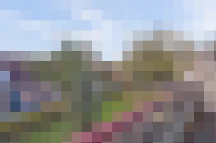 Parkflat de Statenhoed 29 Twello thumbnail 21