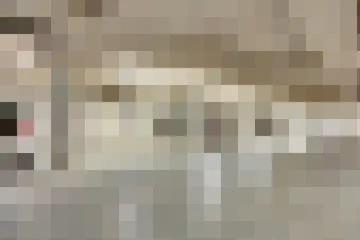 Parkflat de Statenhoed 29 Twello thumbnail 22