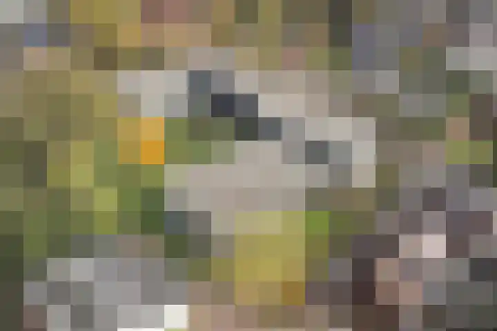 Parkflat de Statenhoed 29 Twello thumbnail 25