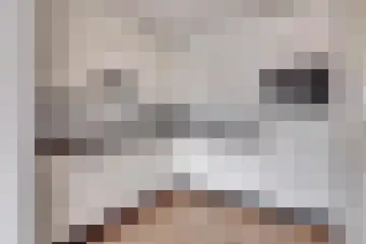 Parkflat de Statenhoed 29 Twello thumbnail 9