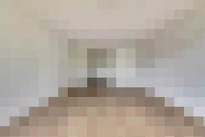Parkflat de Statenhoed 33 Twello thumbnail 16