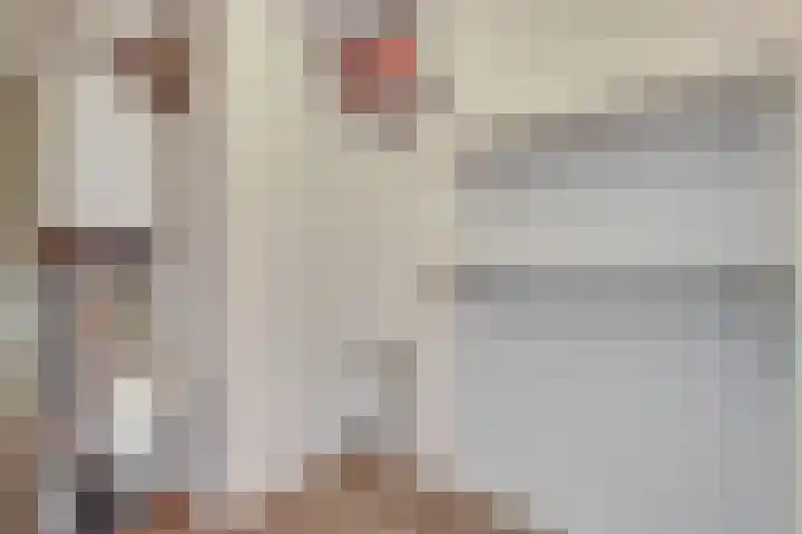 Parkflat de Statenhoed 33 Twello thumbnail 25