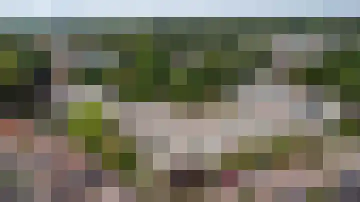 Parkflat de Statenhoed 33 Twello thumbnail 31