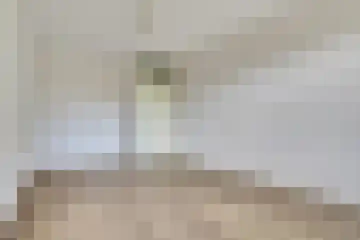 Parkflat de Statenhoed 33 Twello thumbnail 6