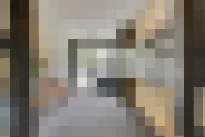 Parkflat de Statenhoed 33 Twello thumbnail 8
