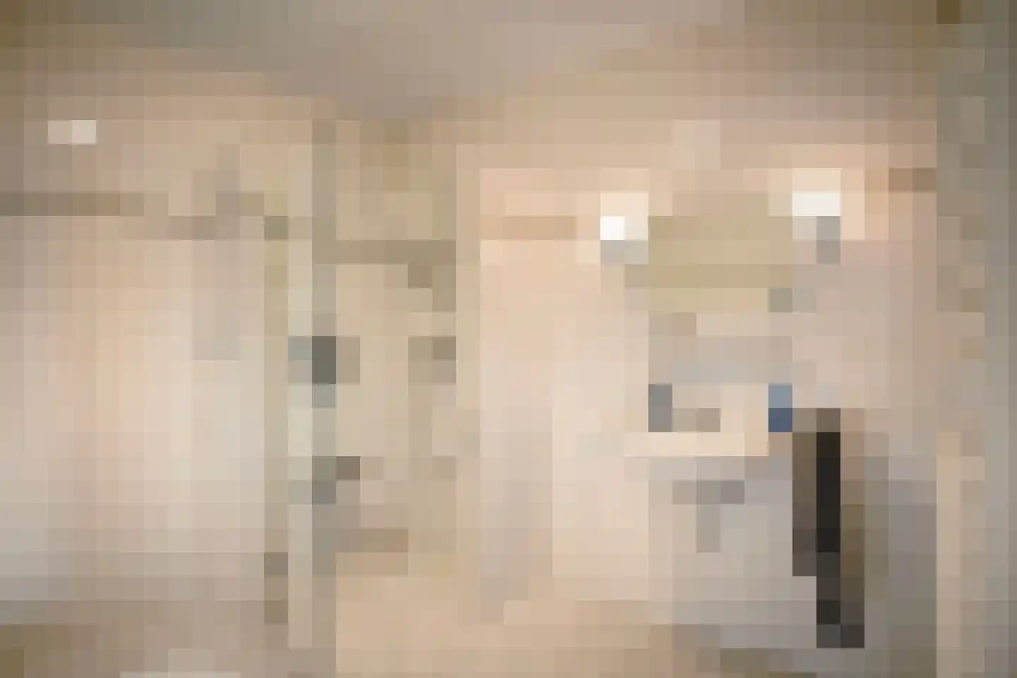 Parkflat de Statenhoed 42 Twello thumbnail 25