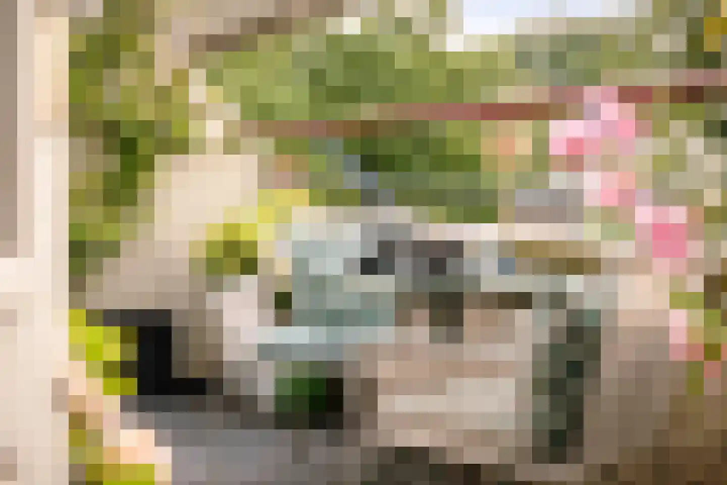 Parkflat de Statenhoed 42 Twello thumbnail 30