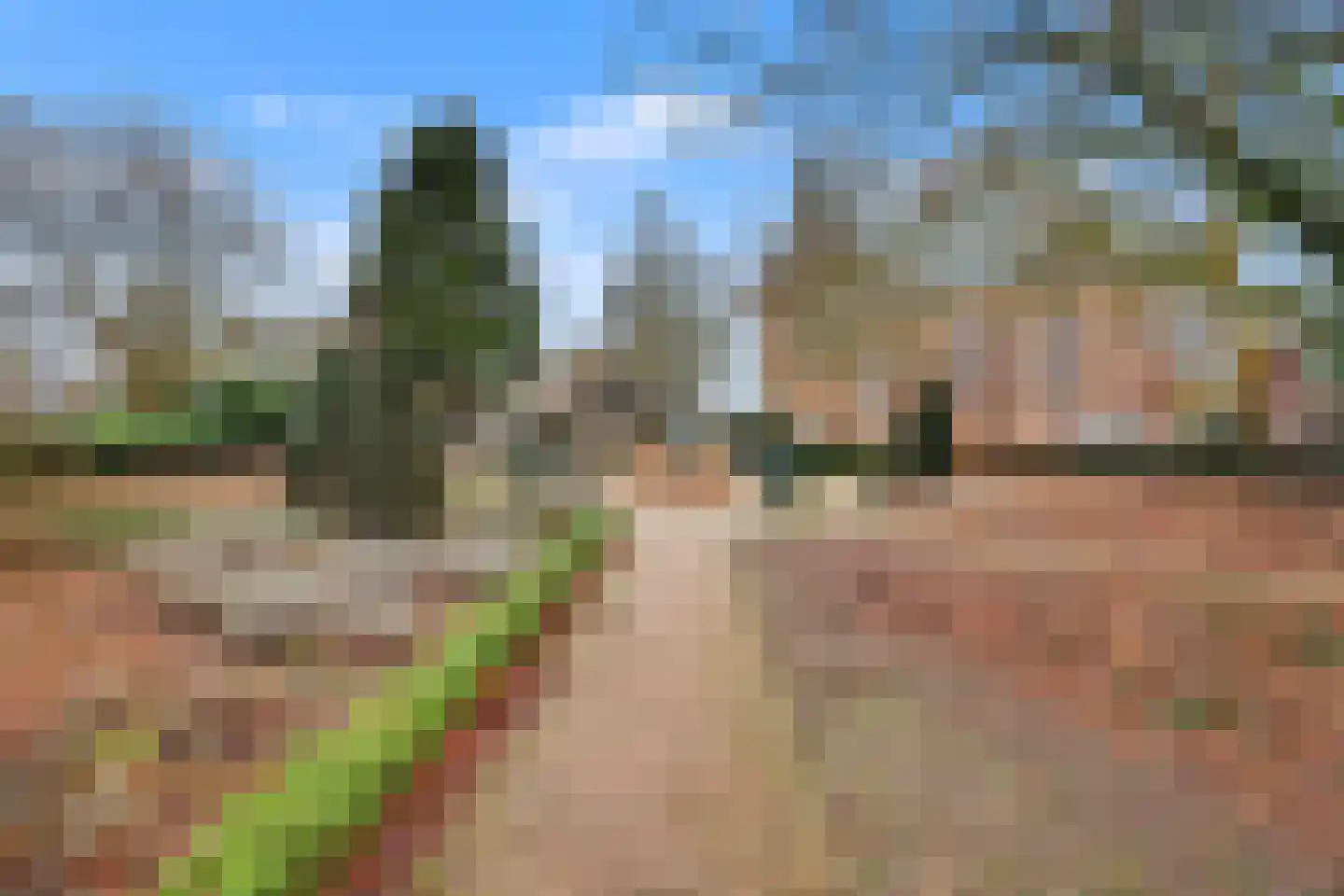 Parkflat de Statenhoed 9 Twello thumbnail 29