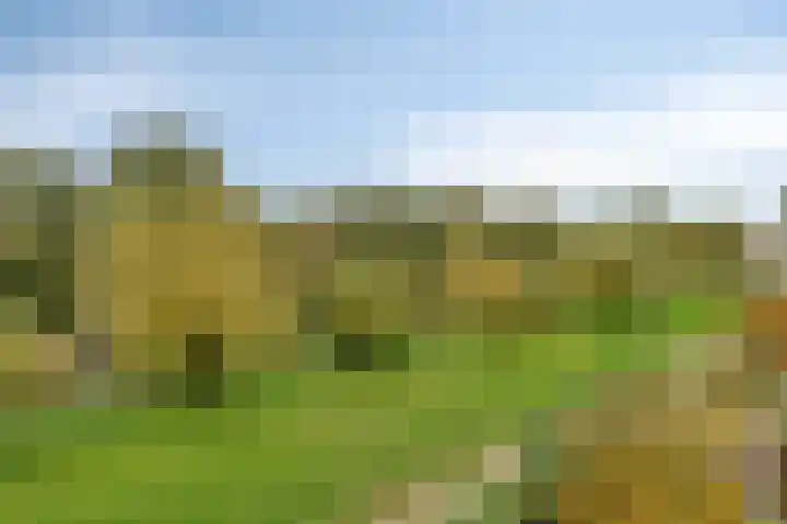 Parkhof 1 Amsterdam thumbnail 17