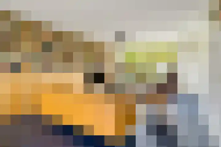 Parkhof 1 Amsterdam thumbnail 18
