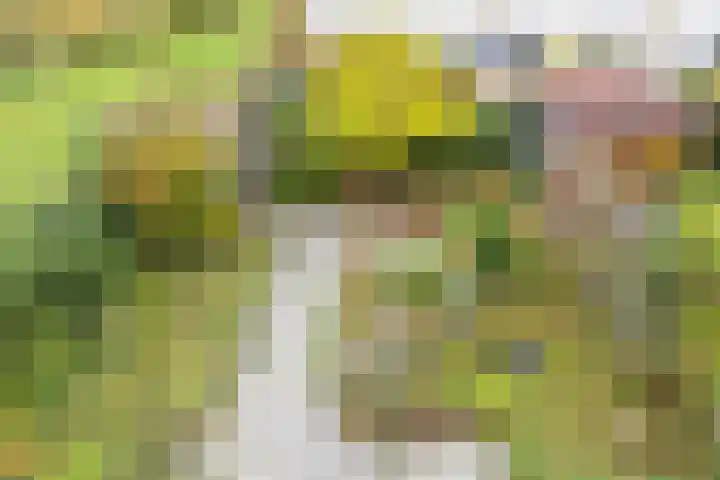 Parkhof 1 Amsterdam thumbnail 23
