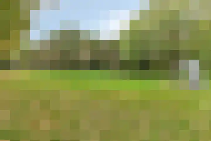 Parkhof 1 Amsterdam thumbnail 36