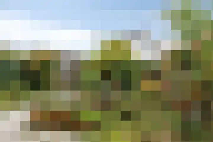 Parkhof 1 Amsterdam thumbnail 6