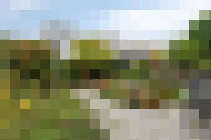 Parkhof 1 Amsterdam thumbnail 7