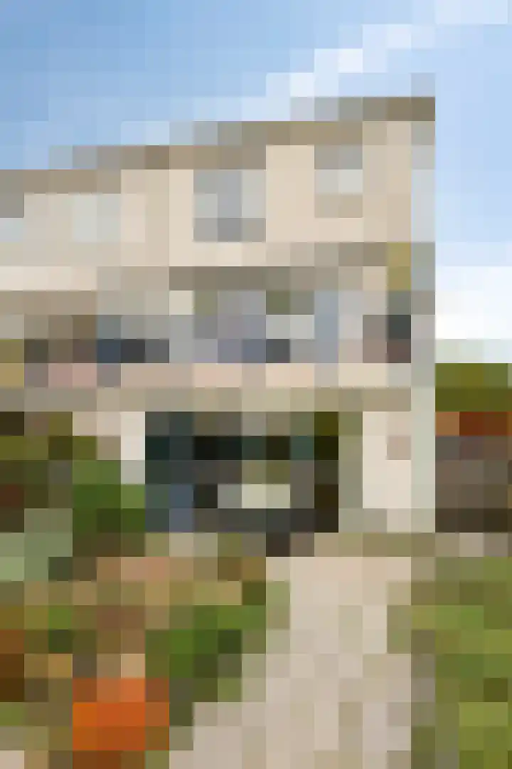Parkhof 1 Amsterdam thumbnail 8