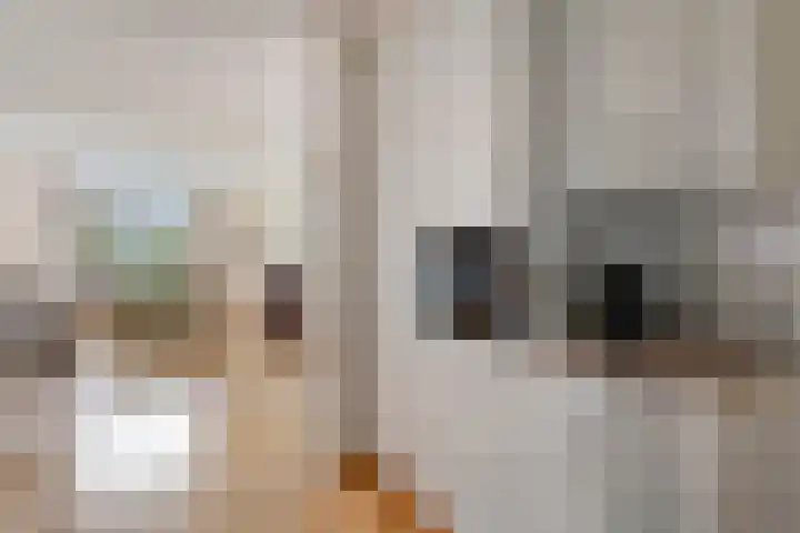 Parkhof 11 Deurne thumbnail 20