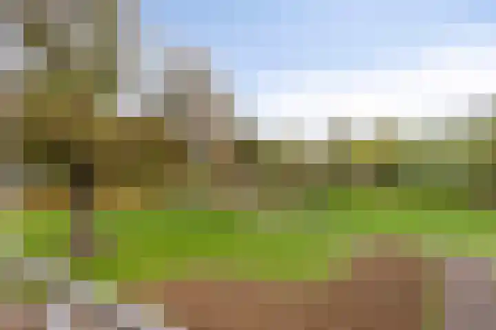 Parkhof 11 Deurne thumbnail 24
