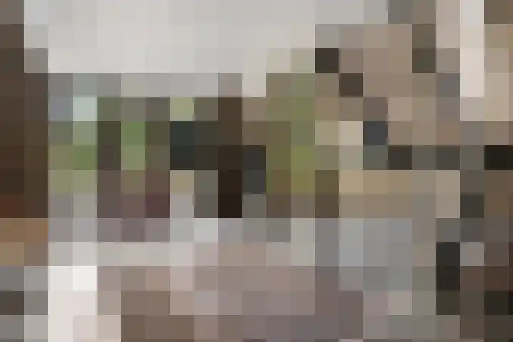 Parkhof 11 Deurne thumbnail 35