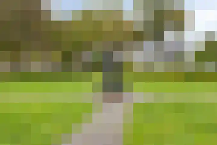 Parkhof 11 Deurne thumbnail 44