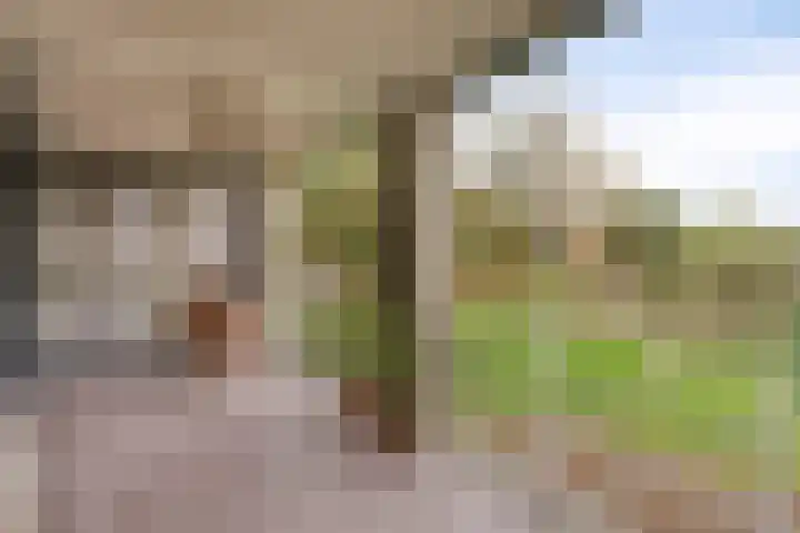 Parkhof 11 Deurne thumbnail 5