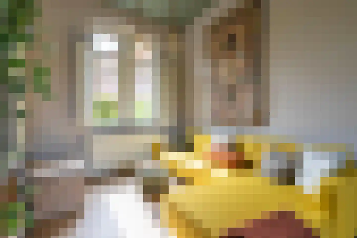 Parkhof 2 Simpelveld thumbnail 14