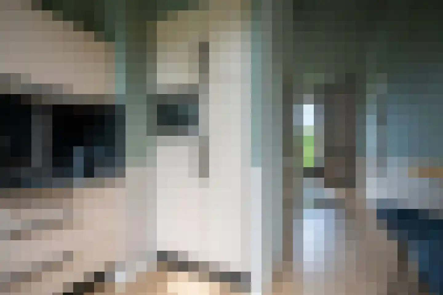 Parkhof 2 Simpelveld thumbnail 20