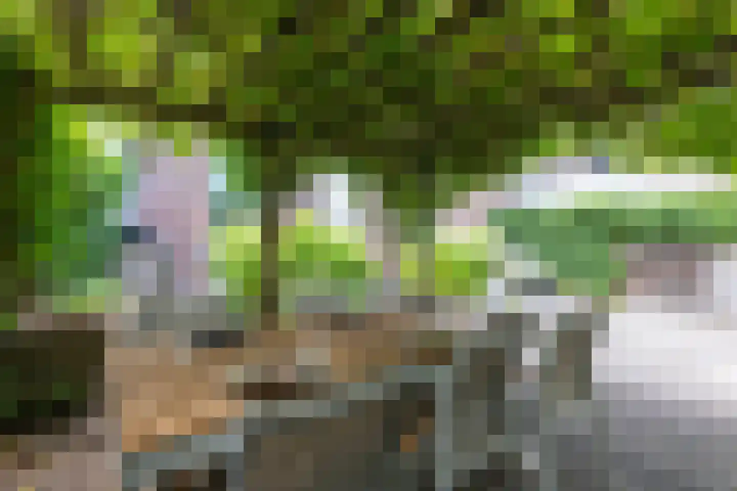 Parkhof 2 Simpelveld thumbnail 39
