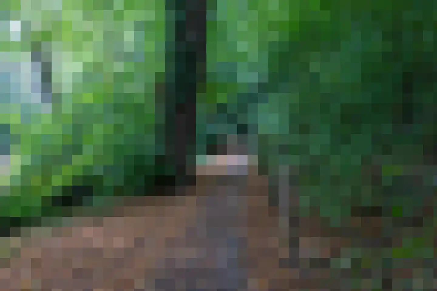 Parkhof 2 Simpelveld thumbnail 44