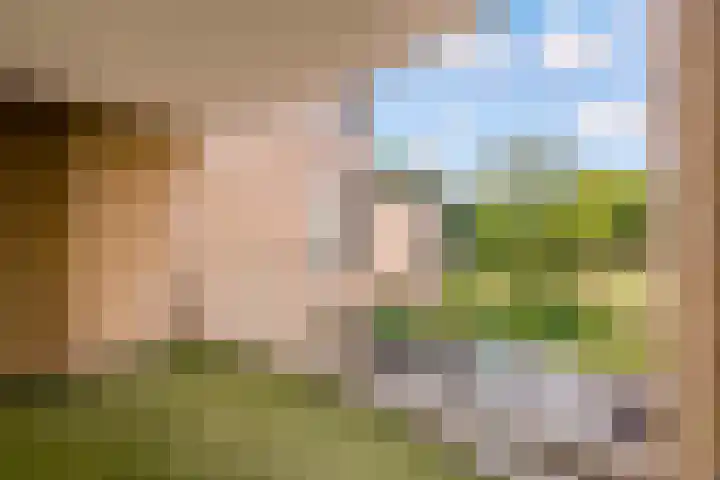 Parkhof 34 Deurne thumbnail 13