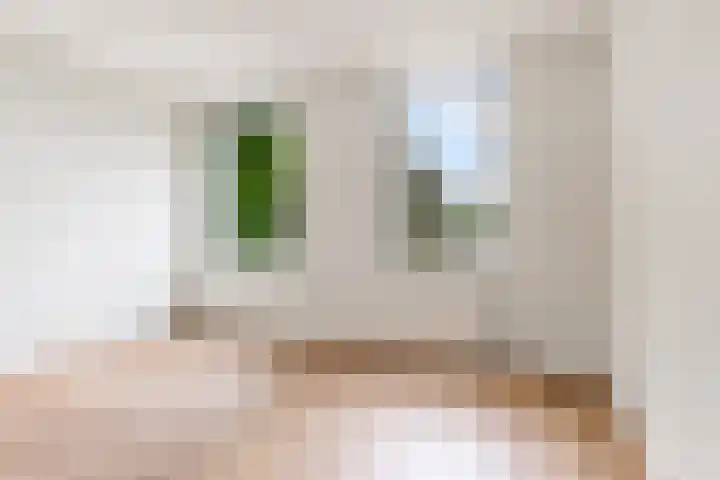 Parkhof 34 Deurne thumbnail 18