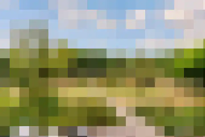 Parkhof 34 Deurne thumbnail 24