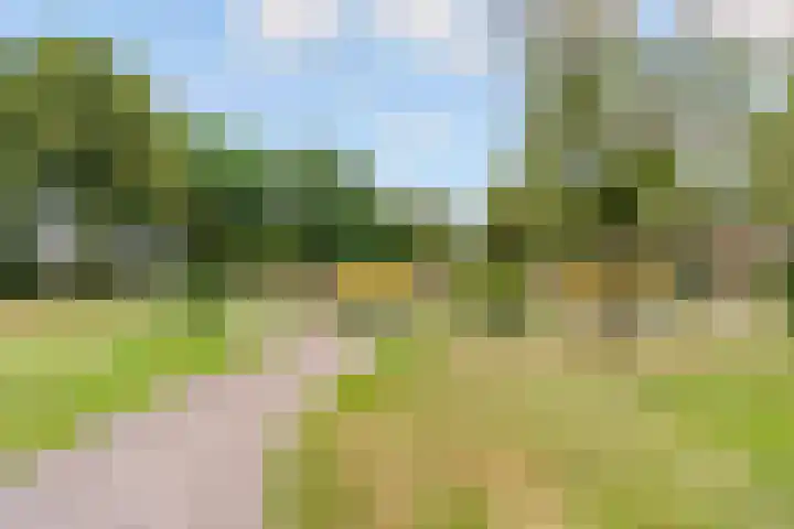 Parkhof 34 Deurne thumbnail 25