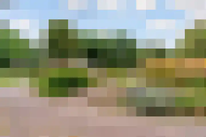 Parkhof 34 Deurne thumbnail 26