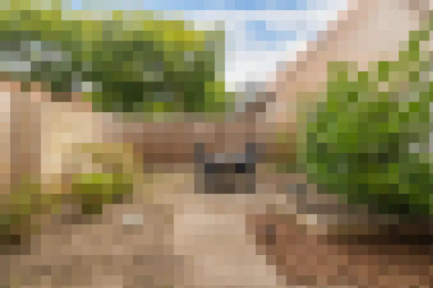 Parkhof 44 Ede thumbnail 28