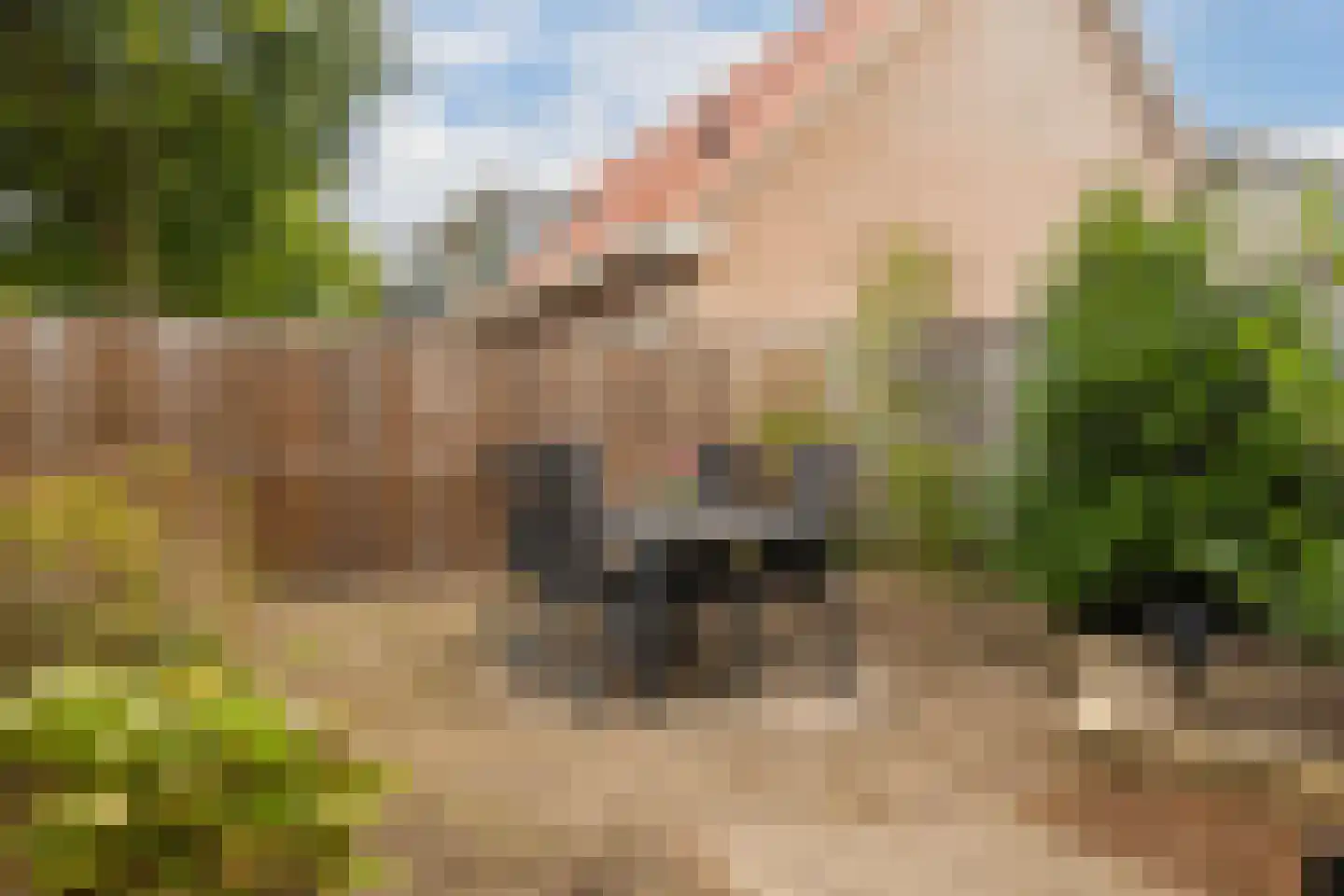 Parkhof 44 Ede thumbnail 29