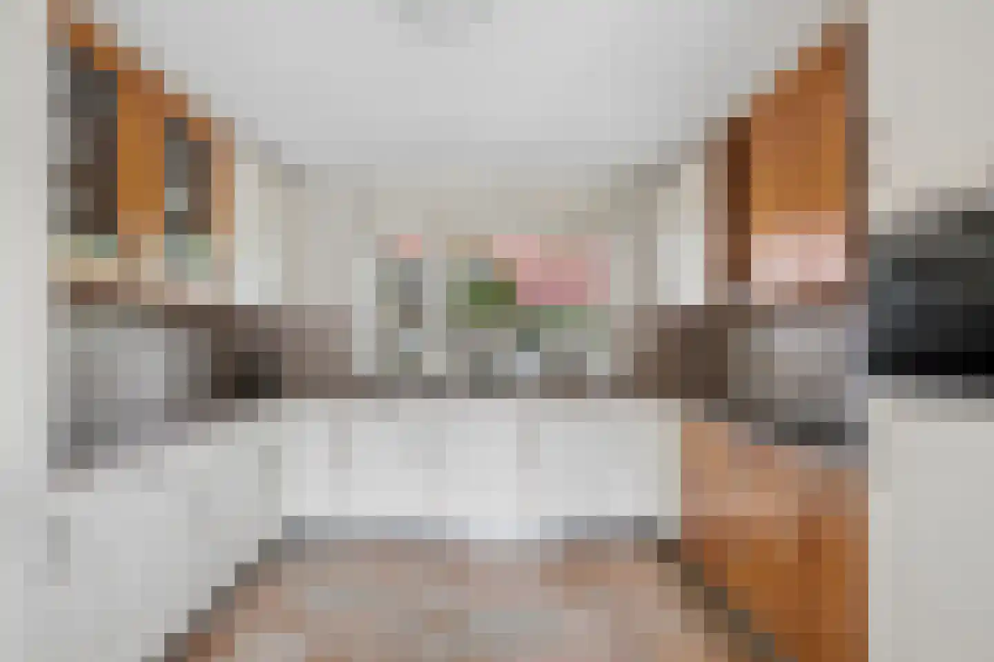 Parkhof 50 Ede thumbnail 10