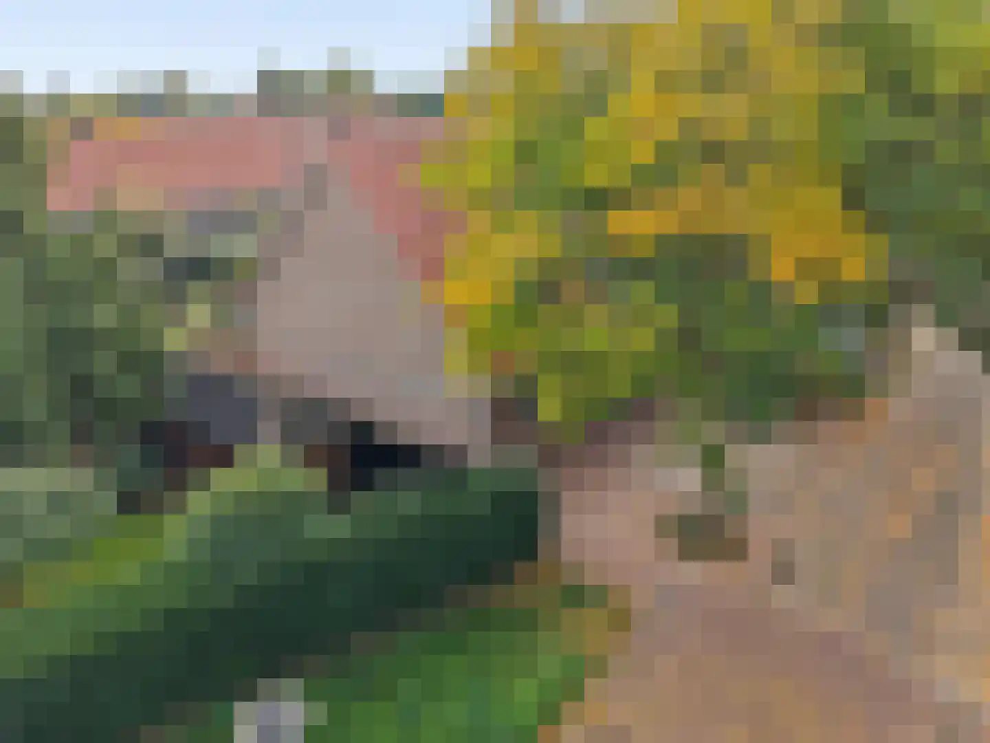 Parkhof 50 Ede thumbnail 36