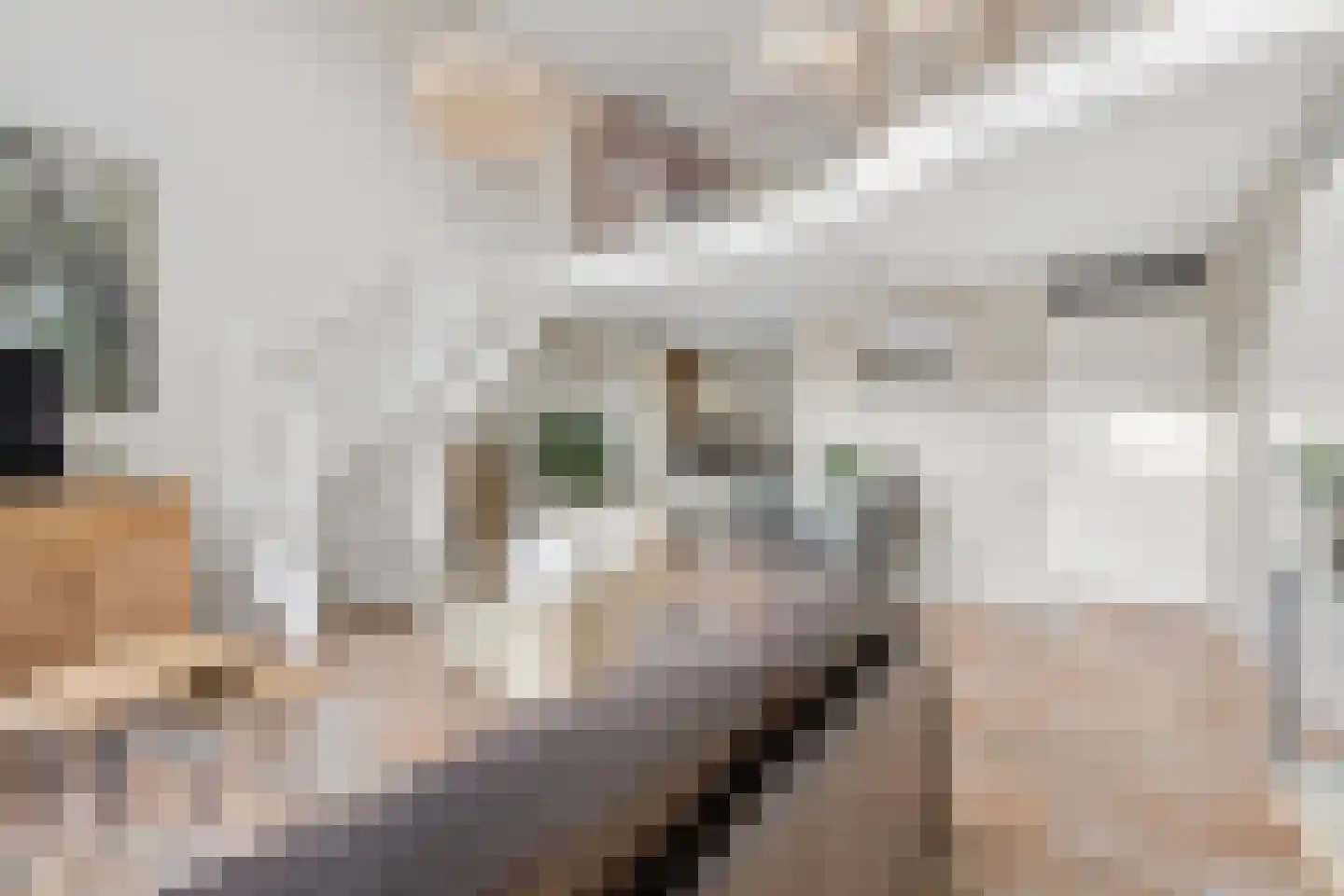 Parkhof 50 Ede thumbnail 7