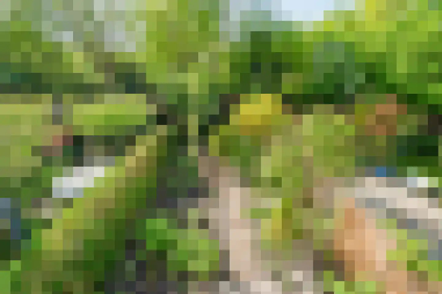 Parkhof 81 Amsterdam thumbnail 24